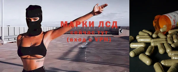 a pvp Баксан