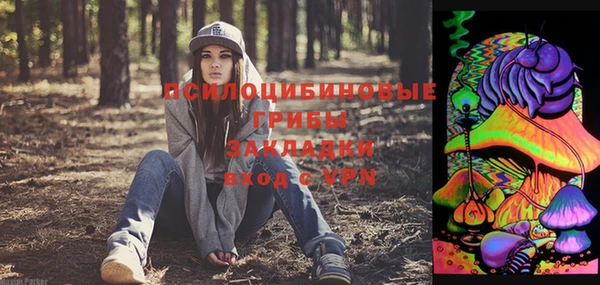 ГАЛЛЮЦИНОГЕННЫЕ ГРИБЫ Балабаново