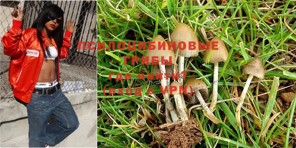 ГАЛЛЮЦИНОГЕННЫЕ ГРИБЫ Балабаново