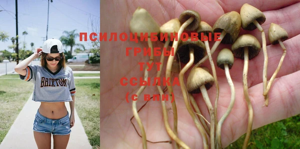 ГАЛЛЮЦИНОГЕННЫЕ ГРИБЫ Балабаново