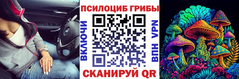 Галлюциногенные грибы прущие грибы  Калининец 
